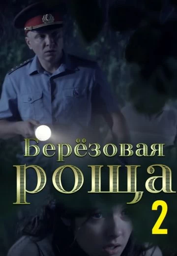 Берёзовая роща 1,2 сезон постер