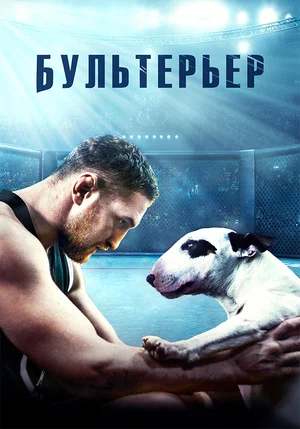 Бультерьер постер